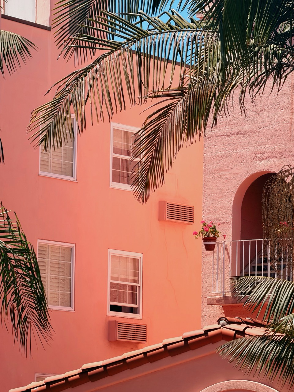 A pink building framed by palm leaves